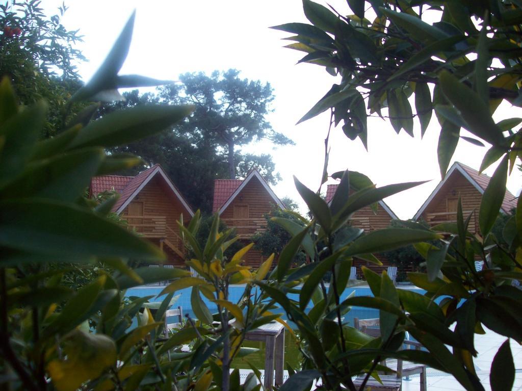 Woodline Hotel Göynük Exteriör bild