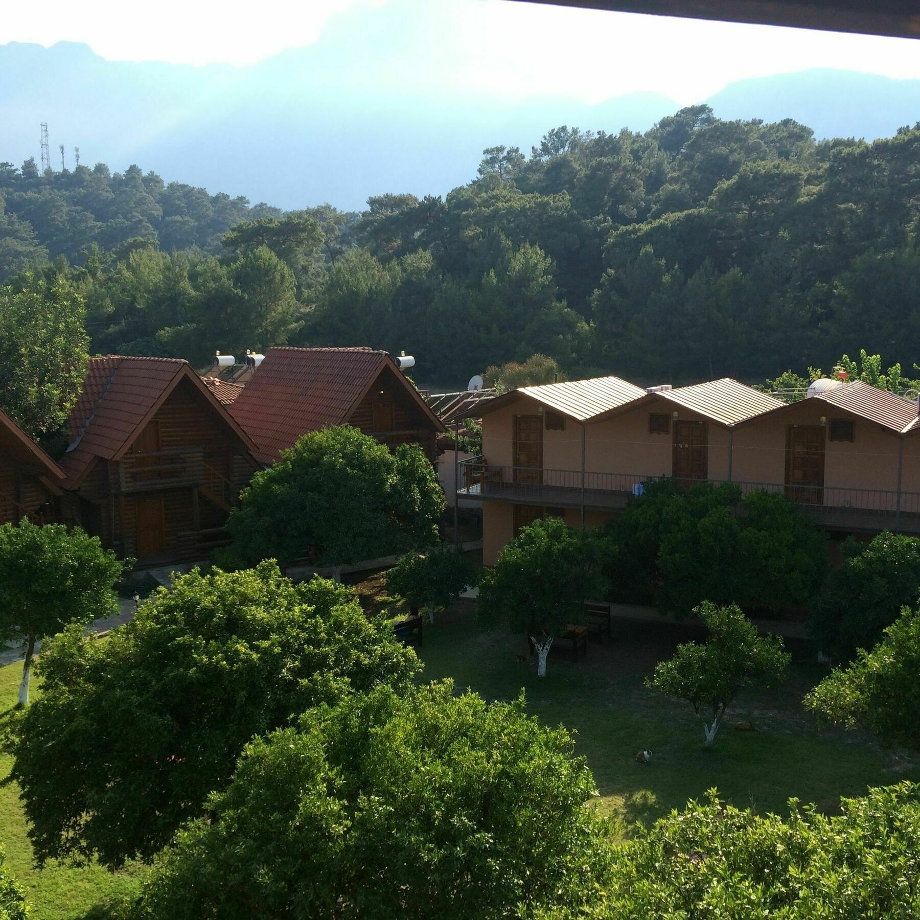 Woodline Hotel Göynük Exteriör bild